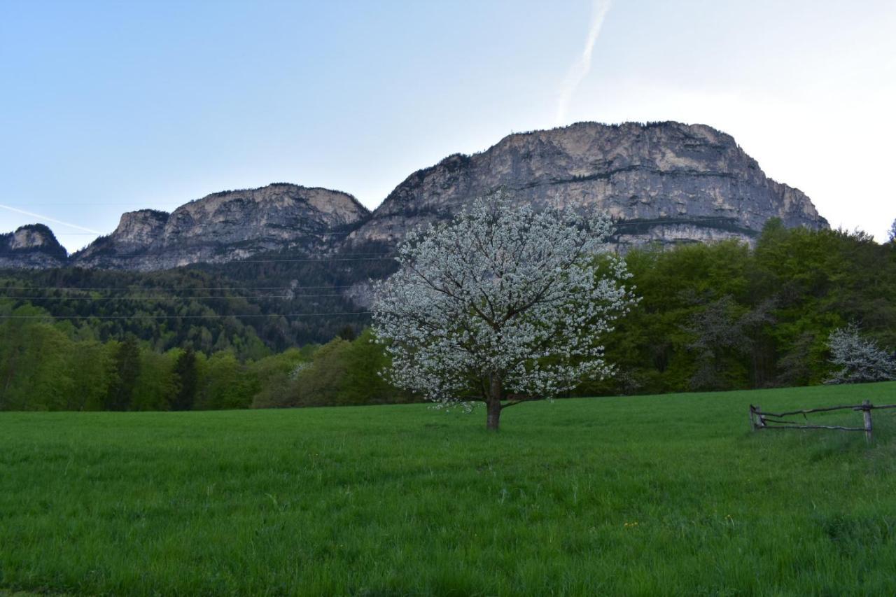 Gasthof Wieser อัปเปียโน ซุลลา สตราดา เดล วีโน ภายนอก รูปภาพ