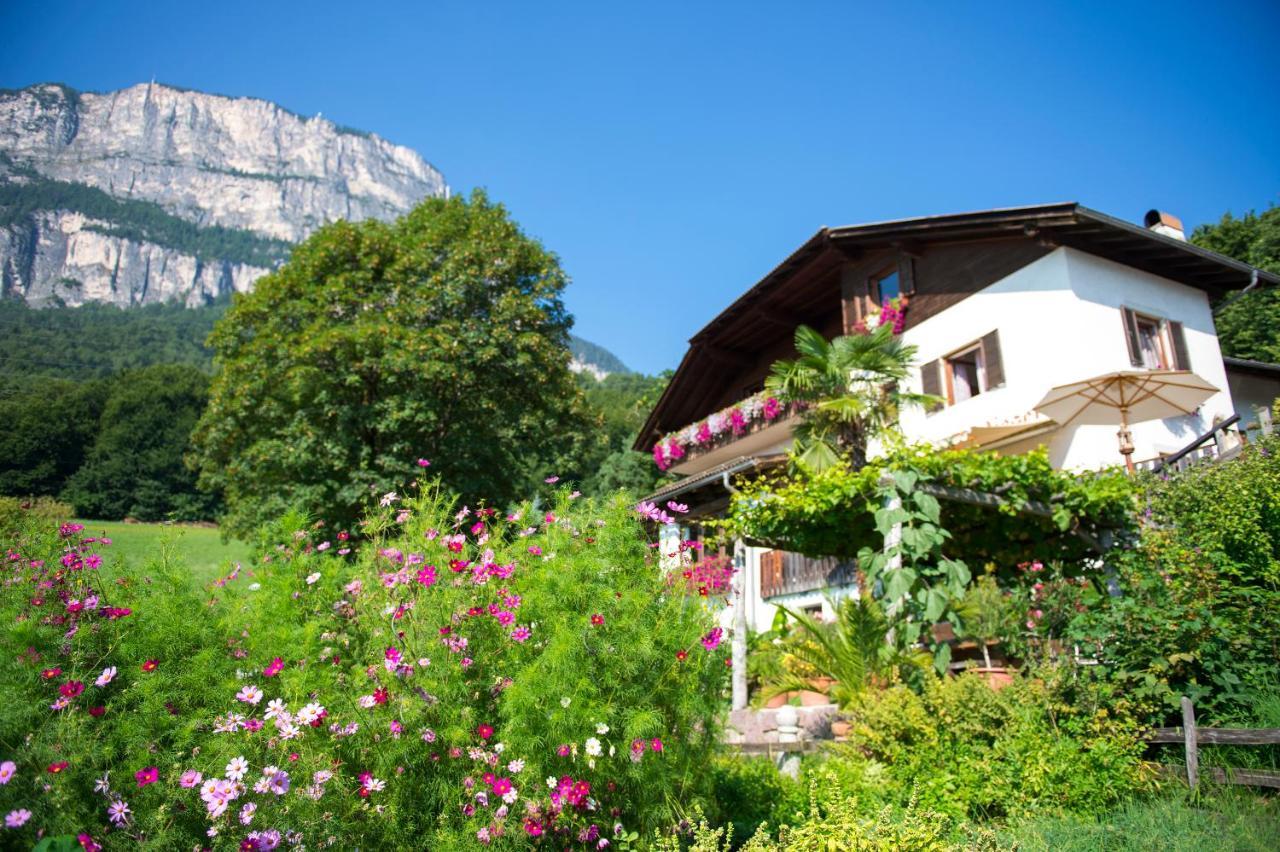 Gasthof Wieser อัปเปียโน ซุลลา สตราดา เดล วีโน ภายนอก รูปภาพ