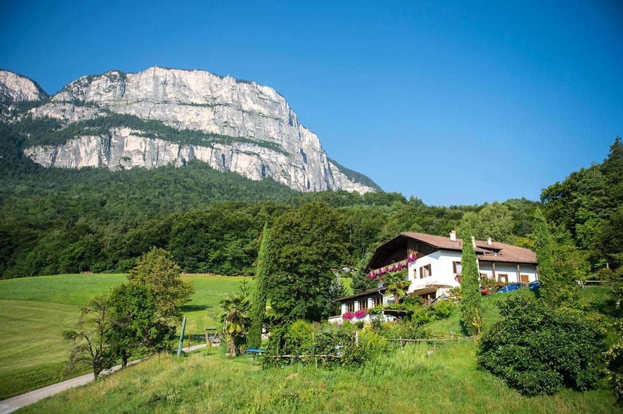 Gasthof Wieser อัปเปียโน ซุลลา สตราดา เดล วีโน ภายนอก รูปภาพ